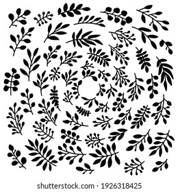 Conjunto de elementos florales vectoriales dibujados a mano. Las hojas negras aisladas en el fondo blanco para invitaciones, tarjetas de felicitación, blogs, web, decoración de bodas, afiches.