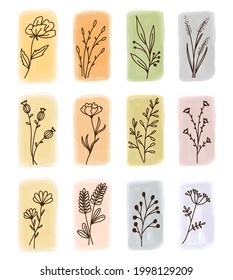 Set of hand drawn vector floral elements (leaves, flowers, branches). Botanical illustrations in doodle style on watercolor stains. Suitable for wedding invitations, greeting cards, quotes, blogs