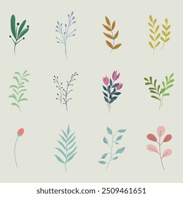 Conjunto de Elementos florales de Vector dibujados a mano para decoración. Ramas, flores, hojas y pétalos para marcos y tarjetas. Colección botánica