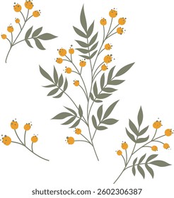 Set of hand drawn vector floral elements for decoration. Spring branches with rowan berries and leaves for frames and cards. Botanical template collection. Collection for pattern