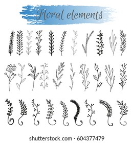 Set of hand drawn vector floral and branches with leaves, flowers, berries. Modern sketch collection. Decorative elements for design. Ink, vintage vector.