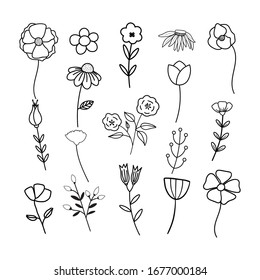 Set of hand drawn vector flower illustrations isolated on a white background.Peony,tulip,daisy,chamomile,wildflowers for invitations,greeting cards,patterns.