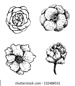 Set of hand drawn vector flowers.