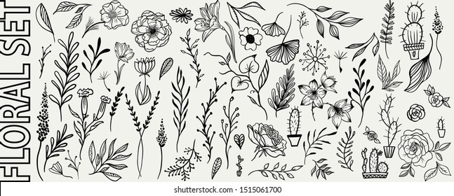 Set of hand drawn vector flowers and branches with leaves, flowers, berries. Floral sketch collection. Decorative elements for design, vintage, rustic.