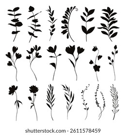 Set of hand drawn vector flowers, tropical leaves, plant, wildflower, rose, eucalyptus, branches. Collection of botanical black silhouette element vector. Abstract bouquet in minimalistic flat style.