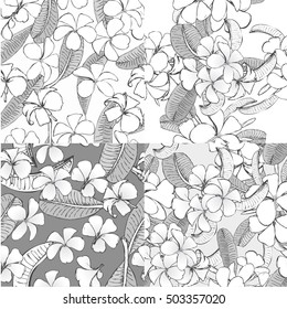 Set hand drawn vector frangipani seamless.