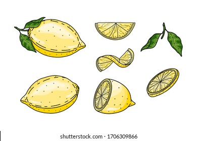 Set of hand drawn vector fresh whole, half, slice and cut lemons isolated on white background. Graphic elements for package, wrapping paper, label, advertising, card, fabric, print, banner, wallpaper.