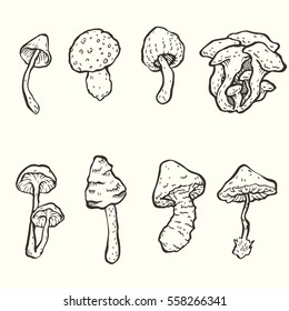 Set of hand drawn vector graphic mushrooms