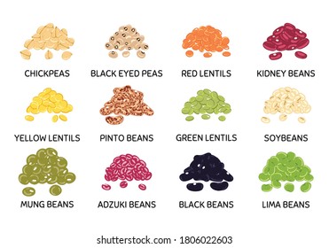 Set of hand drawn vector handful of beans and legumes. Chickpea, kidney bean, mung, soy, lentils, pinto beans, adzuki beans, lima beans. Organic healthy food. Vegan and vegetarian poster