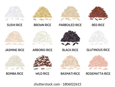 Set of hand drawn vector handful of rice. Sushi, brown, parboiled, jasmine, red, arborio, wild, basmati, rosematta. Organic healthy food. Vegan and vegetarian poster. Hand drawn vector illustration

