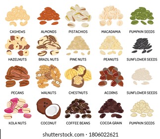 Set of hand drawn vector handful of nuts and seeds. Cashews, almonds, pistachios, walnuts, pumpkin, sunflower seeds. Organic healthy food. Vegan and vegetarian poster. Hand drawn vector illustration