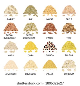 Set of hand drawn vector handful of grains and cereals. Barley, wheat, buckwheat, oats, corn, quinoa, bulgur. Organic healthy food. Vegan and vegetarian poster. Hand drawn vector illustration

