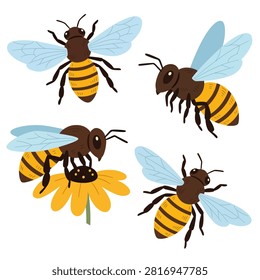 Set of hand drawn vector honey bees in different flying and sitting poses with a flower, cartoon style illustration on white background, decorative design elements, isolated vector