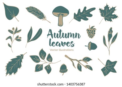 Set of hand drawn vector icons of autumn/fall leaves, nuts, mushrooms, twigs and other forest elements