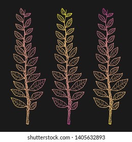 Set of hand drawn vector illustration of laurel branch. Modern gradient illustration