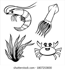 Set of hand drawn vector illustration in black and white. Marine clipart with seaweed, crab, prawn and squid
