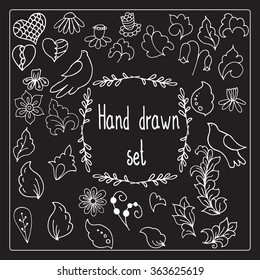 Set of hand drawn vector illustration. Black and white flowers, birds and leaves