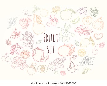Set of hand drawn vector illustration of fruits and berries. apple, apricot, orange, peach, pear on light background can be used for banner template, card, flyer, sale, website, menu, cover