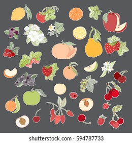 Set of hand drawn vector illustration of label of fruits and berries. apple, apricot, orange, peach, pear on grey background can be used for banner template, card, flyer, sale, website, menu, cover