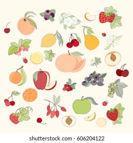Set of hand drawn vector illustration of lable of fruits and berries. apple, apricot, orange, peach, pear on light background can be used for banner template, card, flyer, sale, website, menu, cover