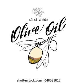 Set of hand drawn vector illustration and lettering olive oil, olive branch and bottle for olive oil labels, restaurant, natural products. perfect stickers and badges for your business