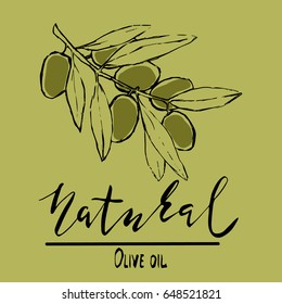 Set of hand drawn vector illustration and lettering olive oil, olive branch and bottle for olive oil labels, restaurant, natural products. perfect stickers and badges for your business