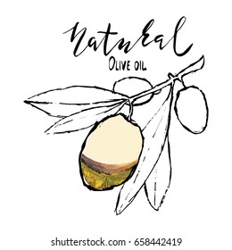 Set of hand drawn vector illustration and lettering, olive branch for olive oil labels, restaurant, natural products. perfect stickers and badges for your business