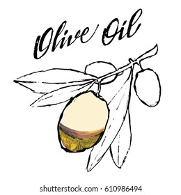 Set of hand drawn vector illustrations and lettering olive oil, olive branch labels, restaurant, natural products. perfect stickers and badges for your business