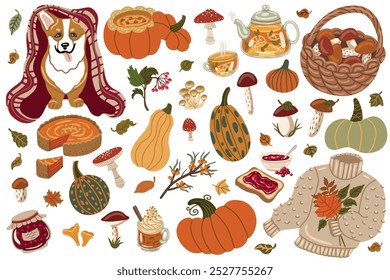 Set hand drawn vector isolated elements of Autumn time. Pumpkin. Mushrooms. Harvesting. Knitted sweater. Halloween. A branch of sea buckthorn. Berry. Color image on a white background.