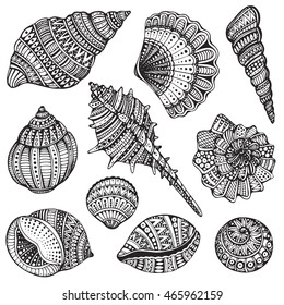 Set of hand drawn vector ornate seashells. Ten black illustrations of shells isolated on white background for coloring book, tattoo, print on t-shirt, bag.