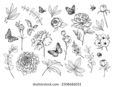 Conjunto de peonías de Vector dibujadas a mano, flores y hojas de jardín de verano, mariposas, abejorros en estilo de boceto blanco y negro.