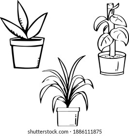 Set of hand drawn vector plants in pots