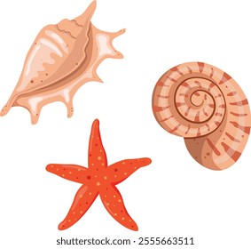 Set of hand drawn vector shells in flat style. Cartoon summer stylisation. Sea creatures