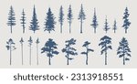 Set of hand drawn vector silhouettes of pine trees. Forest. Vintage trees. Monochrome. Isolared vector trees.