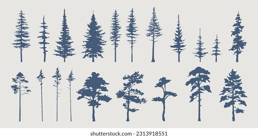 Set of hand drawn vector silhouettes of pine trees. Forest. Vintage trees. Monochrome. Isolared vector trees.