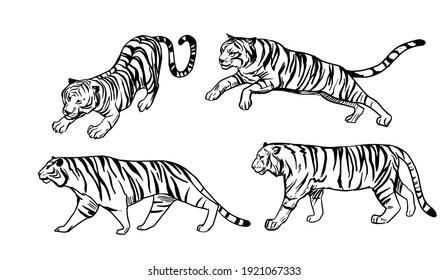 64 Animal Skech Images, Stock Photos & Vectors | Shutterstock