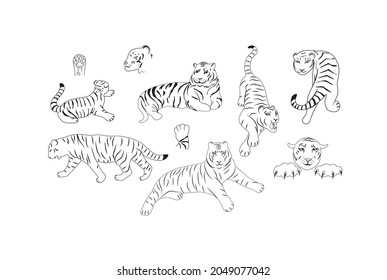 Set of hand drawn vector skech. Outline illustration. Illustration set of tigers in various poses standing, sitting, lying down, beckoning