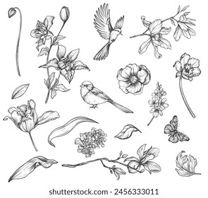 Set of hand drawn vector spring garden flowers and leaves, birds, butterflies in black and white sketch style.