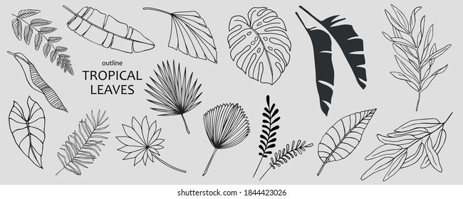 Jungle Leaves Line Drawing High Res Stock Images Shutterstock