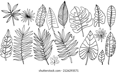 Set of hand drawn vector tropical leaves. Silhouettes of abstract branches in minimalistic flat style isolated on white background. Natural elements with a line for the design of patterns, ornaments