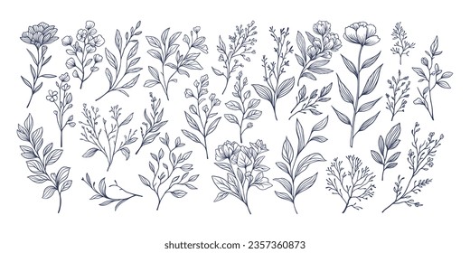 Set of hand drawn vector tropical leaves. Silhouettes of abstract branches in minimalistic flat style isolated on simple background. Natural elements with a line for the design of patterns, ornaments