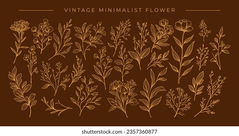 Set of hand drawn vector tropical leaves. Silhouettes of abstract branches in minimalistic flat style isolated on simple background. Natural elements with a line for the design of patterns, ornaments