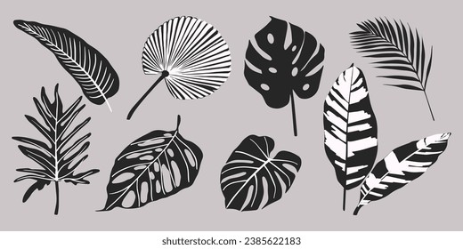 Conjunto de hojas tropicales vectoriales dibujadas a mano. Siluetas de ramas abstractas de estilo plano minimalista aisladas. Elementos naturales para el diseño de patrones, ornamentos