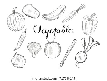 Set of hand drawn vector vegetables isolated on white background.  Collection of sketched food.