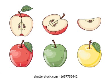 Set of hand drawn vector whole, half, quarter and cut fresh apple fruits isolated on white background. Graphic elements for package, label, wrapping paper, cards, print, banner, advertising.