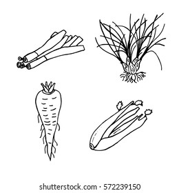Set hand drawn vegetables