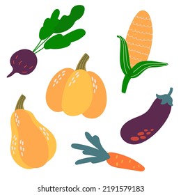 Set of hand drawn vegetables. Beets, pumpkin, eggplant, carrots, corn. White background, isolate. Vector illustration.