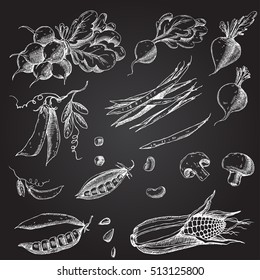 Set of hand drawn vegetables. Corn, peas, beans, beets, radishes and mushrooms. 