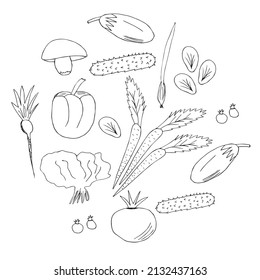 conjunto de verduras a mano en el estilo doodle. concepto de jardinería y agricultura. Ilustración del vector aislada en un fondo blanco