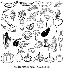 Set of hand drawn vegetables and fruits. Design elements for poster, menu. Vector illustration